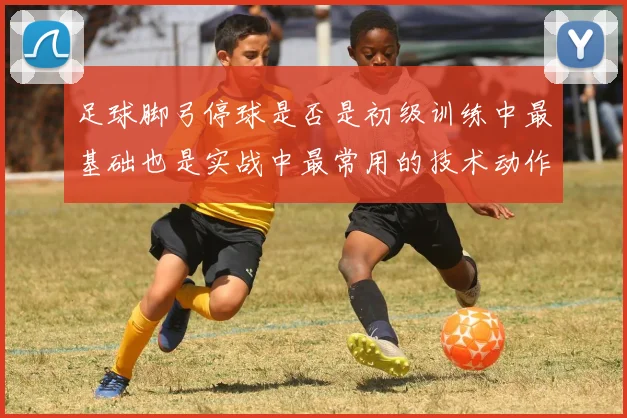 足球脚弓停球是否是初级训练中最基础也是实战中最常用的技术动作