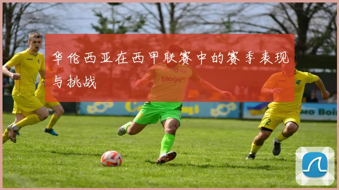 华伦西亚在西甲联赛中的赛季表现与挑战