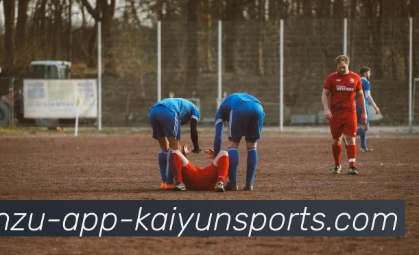 App Interface Preview